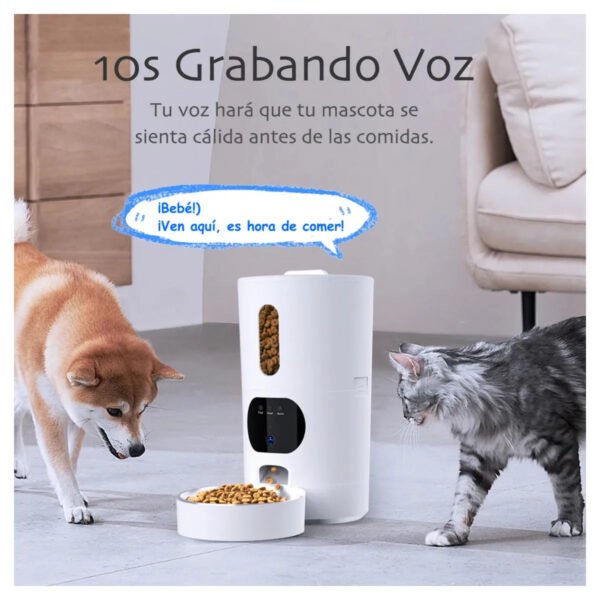 Alimentador de Mascotas